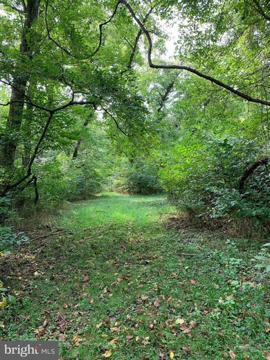 0 Low Line Road Tract 7 unit WVMO2001888, Great Cacapon, WV 25422 - photo 7