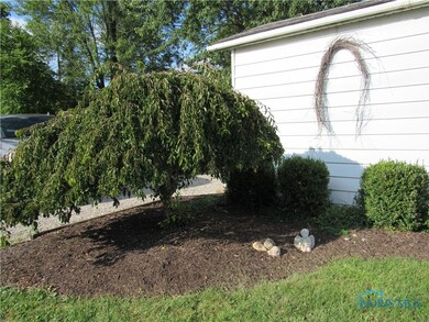 Showy landscaping