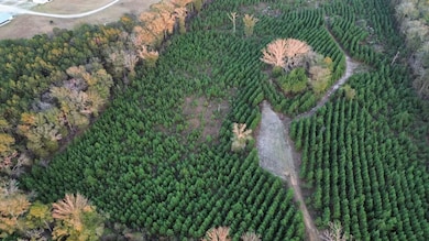 6580 Hwy 431 S, Pittsview, AL 36871 - photo 6