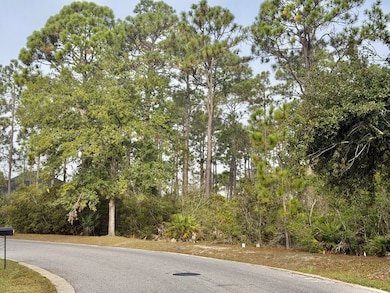 119 Crane Dr, Port St. Joe, FL 32456 - photo 4