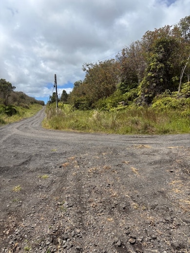 Looking across the road from the entrance to the unpaved overgrown access to the property . Improvements do not go all the way  to the property