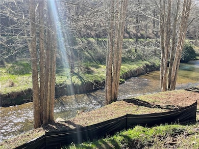 6 Stonegate Ln, Creston, NC 28615 - photo 3