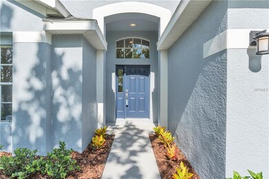 6852 Bluff Meadow Ct, Wesley Chapel, FL 33545 - photo 5