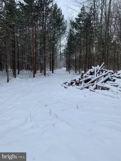 4045 E Campbell Rd, Pennsburg, PA 18073 - photo 3