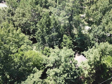 TRACT 11 Texas State Highway 87 unit 1/2 mile on Left bef, Burkeville, TX 75932 - photo 5