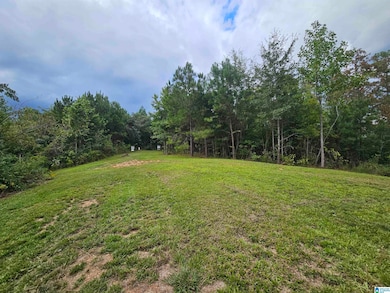 94 County Road 258, Clanton, AL 35046 - photo 3