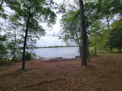 Kings Lake