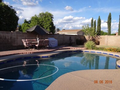 2506 E Evergreen St, Mesa, AZ 85213 - photo 6