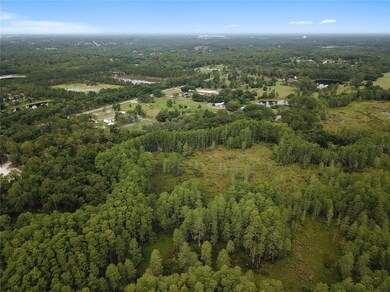 Aerial View from Wetlands in Back
