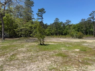 TBD Johnson Rd, Georgetown, SC 29440 - photo 7