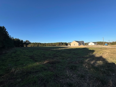 677 Winningham Rd, Saint George, SC 29477 - photo 5