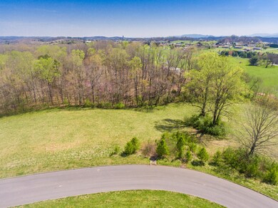 2106KingViewLoop-7