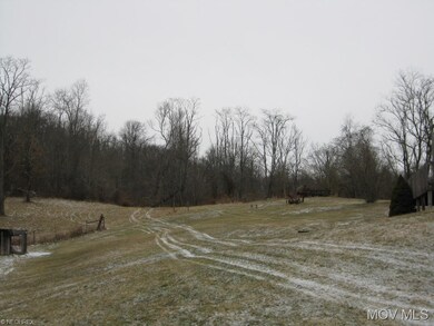 Cleared Field and Yard