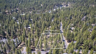 2-web-or-mls-DJI_0858