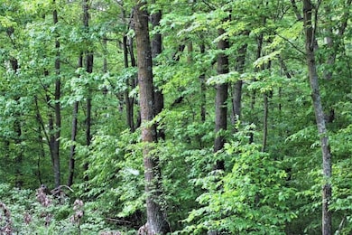 0 Golf Cir unit 25696193, Garrison, MN 56450 - photo 5