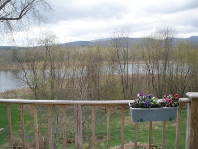 Pond View