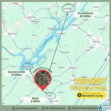 0 Pine St unit 21437255, Albertville, AL 35950 - photo 4