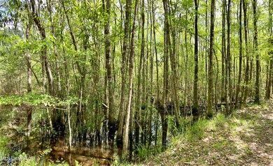 1 Basin Refuge Rd, Lucedale, MS 39452 - photo 6