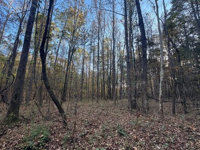 00 Cr 311, Oxford, MS 38655 - photo 5