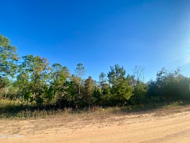 Lot 128 Nezperce Dr, Alford, FL 32420 - photo 3