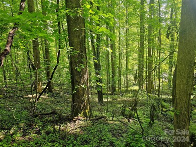 00 Orenda Dr unit 21/SEC C, Franklin, NC 28734 - photo 7