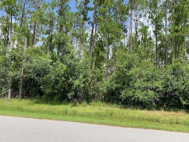 0 Joe Jeff St, North Port, FL 34286 - photo 3