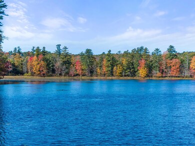 1195 Suncook Valley Hwy, Epsom, NH 03234 - photo 6