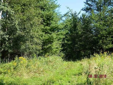 0 W Main St unit 1500008, Webster, WI 54893 - photo 4