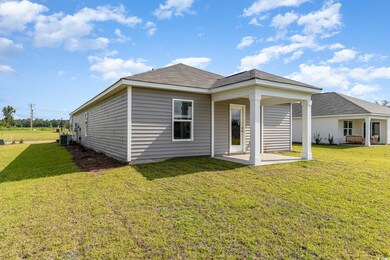 492 Harvest Ridge Way unit Lot 333- Helena A, Bucksport, SC 29527 - photo 4