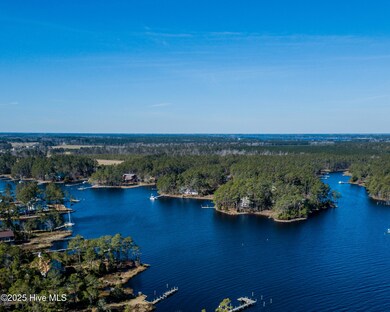 859 Winchester Way, Merritt, NC 28556 - photo 6