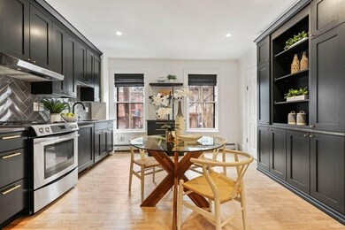 33 E Springfield St unit 1, Boston, MA 02118 - photo 7