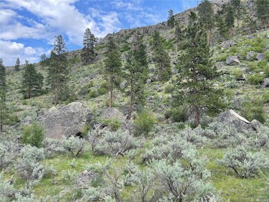 0 E Dry Coulee Rd, Okanogan, WA 98840 - photo 4