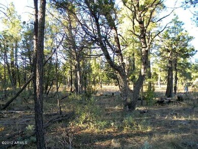 Lot7