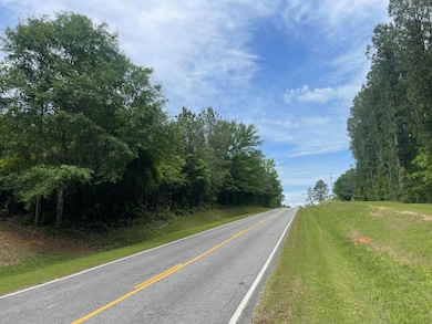 0 Northridge Rd, Soso, MS 39480 - photo 5