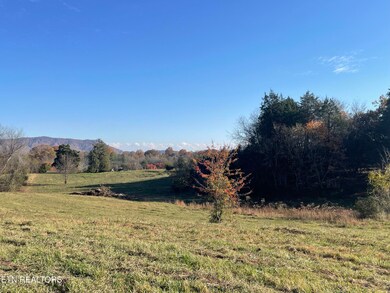 0 Rodgers 30 Acres Rd, Corryton, TN 37721 - photo 7