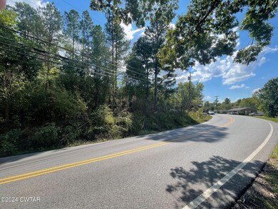 0 N Royal St, Jackson, TN 38305 - photo 4