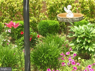 7350 Forrester Ln, Manassas, VA 20109 - photo 5