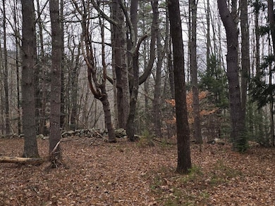 00 Stage Rd unit 440, Unity, NH 03603 - photo 5