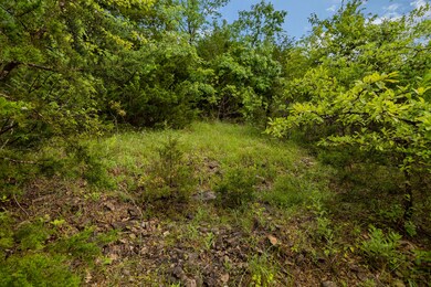 Lot 13 N Wilderness Trail, Kimberling City, MO 65686 - photo 6