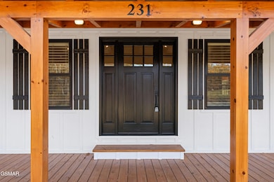 231 Sunset Blvd, White Pine, TN 37890 - photo 3