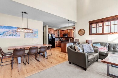 30 Cr 1293 unit C, Silverthorne, CO 80498 - photo 7