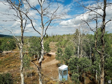 View of local wilderness