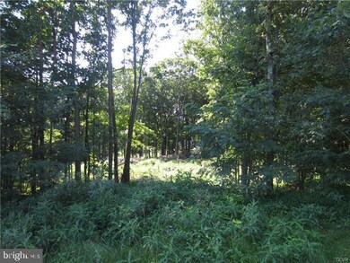 2202 Acorn Ct unit 8, Slatington, PA 18080 - photo 4