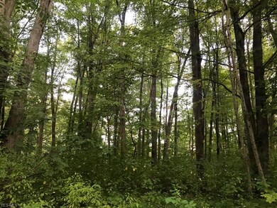 1123 Riley Rd, Aurora, OH 44202 - photo 2