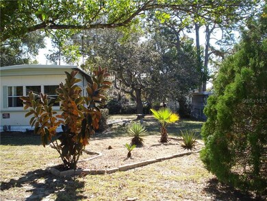 Exterior-Side Yard