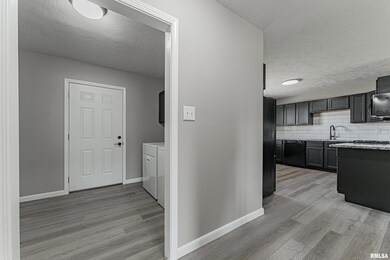 332 Welch Dr, Lincoln, IL 62656 - photo 7