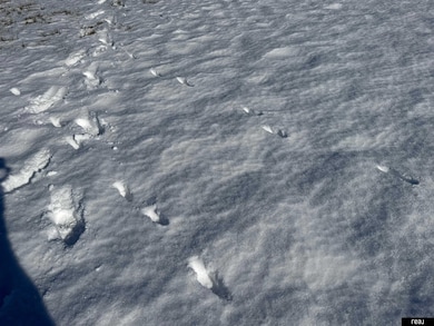 0 County Road P, Yutan, NE 68073 - photo 6