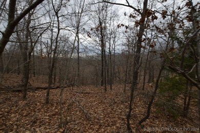 65311 Chaffin Ridge Rd, Proctor, OK 74457 - photo 6