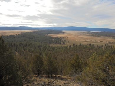 0 Tableland Rd unit 18380387, Sprague River, OR 97624 - photo 7