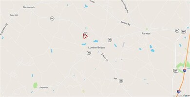 30 Acres N Carolina 20, Lumber Bridge, NC 28537 - photo 7